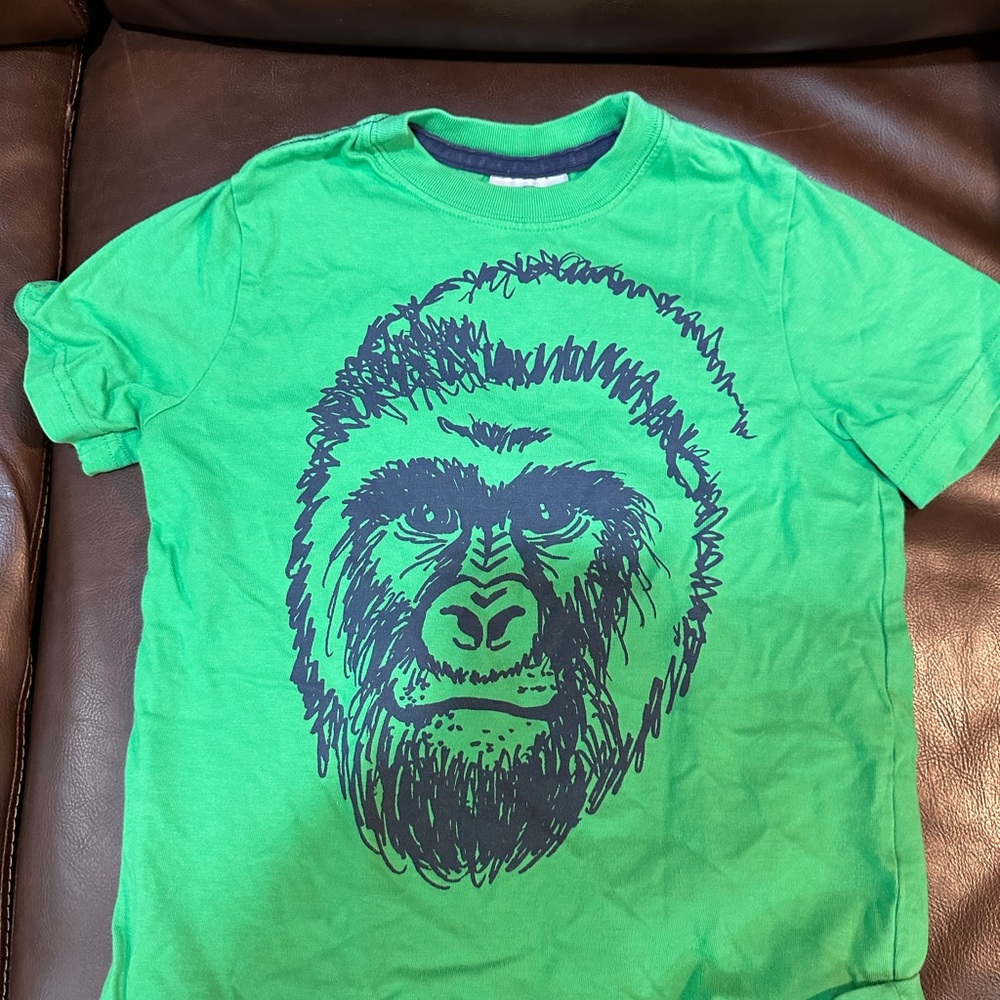 Hanna Andersson Green Short Sleeve Tee with Gorilla Graphic